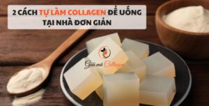 2 cách tự làm collagen để uống tại nhà đơn giản Cách làm collagen tại nhà