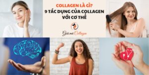Collagen là gì? 9 tác dụng của collagen với cơ thể Các công dụng của collagen với sức khoẻ