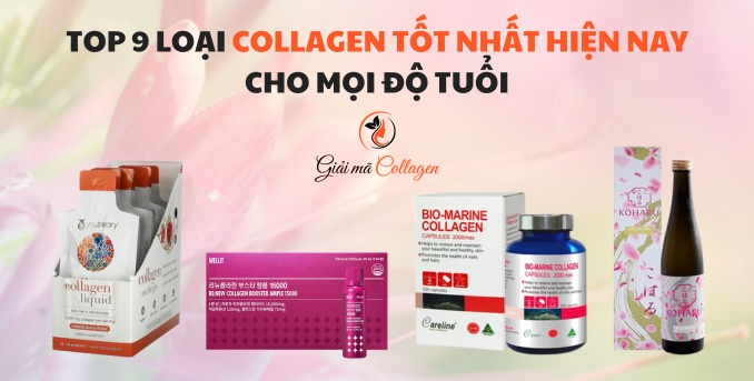 Top collagen tốt nhất hiện nay