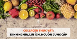Collagen thực vật: Định nghĩa, lợi ích, nguồn cung cấp Collagen thuần chay