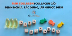 Fish collagen (Collagen cá): Định nghĩa, tác dụng, ưu nhược điểm Collagen cá: định nghĩa, công dụng, hướng dẫn dùng