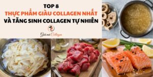Các loại thực phẩm giàu collagen